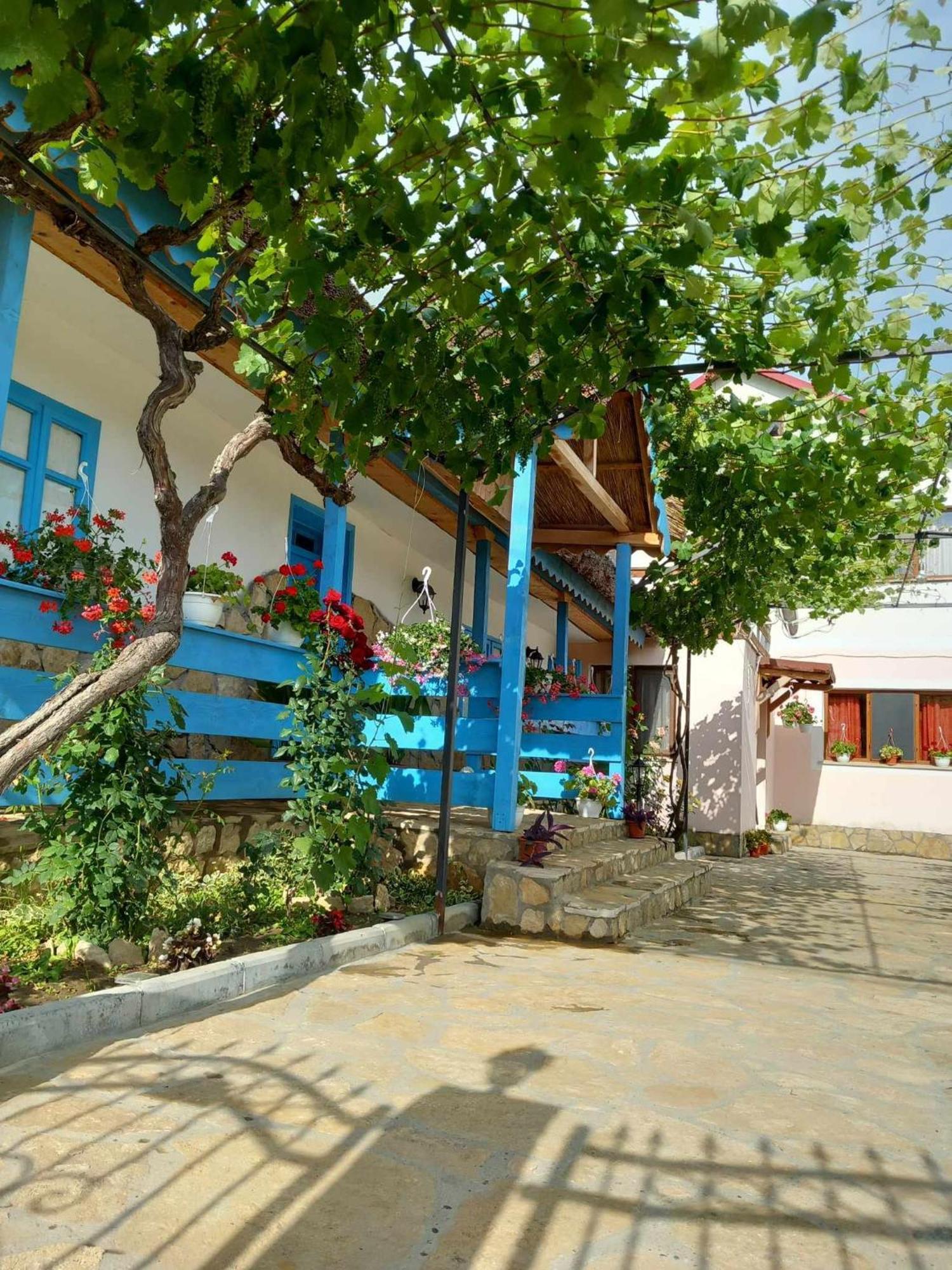מלון Casa Rasaritul Soarelui Sarichioi מראה חיצוני תמונה